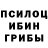 Галлюциногенные грибы Cubensis AUTOPASTOR