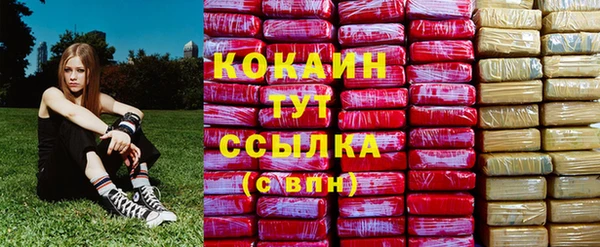 гашик Арсеньев