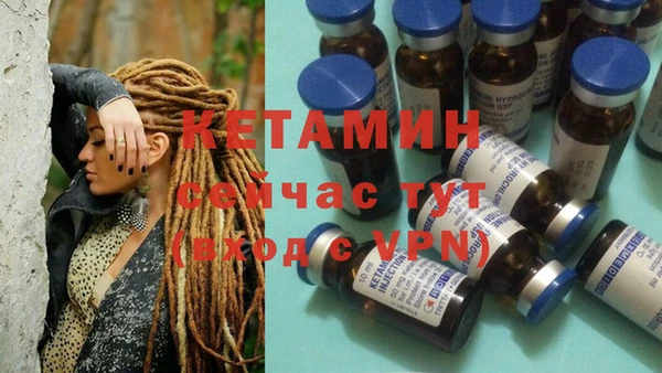 гашик Арсеньев