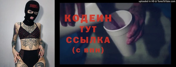 ECSTASY Алзамай