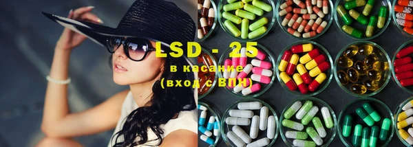 ECSTASY Алзамай