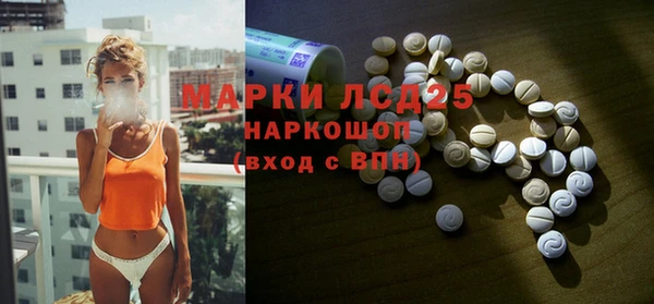 гашик Арсеньев