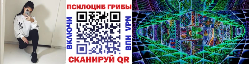 Псилоцибиновые грибы Magic Shrooms  Заполярный 